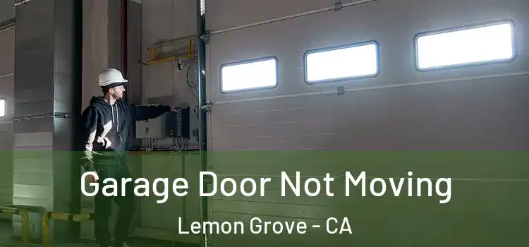  Garage Door Not Moving Lemon Grove - CA
