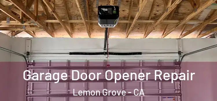  Garage Door Opener Repair Lemon Grove - CA