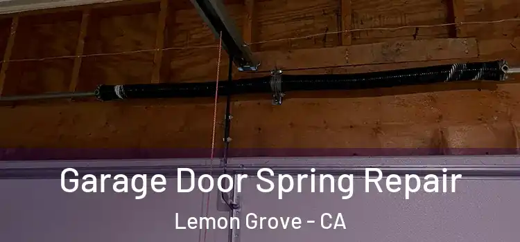  Garage Door Spring Repair Lemon Grove - CA
