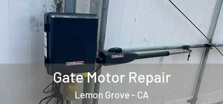 Gate Motor Repair Lemon Grove - CA