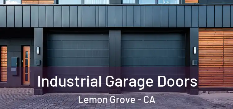  Industrial Garage Doors Lemon Grove - CA