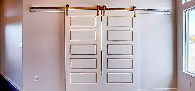 Glass Barn Door with Installation Hardware Kit Lemon Grove