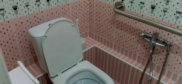 Meeting Diverse Needs With Accessible Restroom Solutions in Lemon Grove, CA