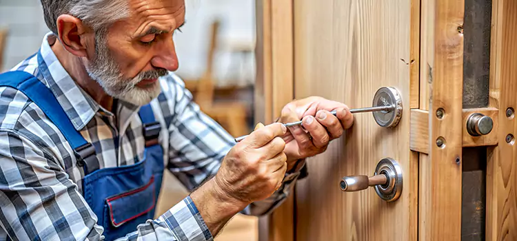 Mortise Replacement Lock Lemon Grove