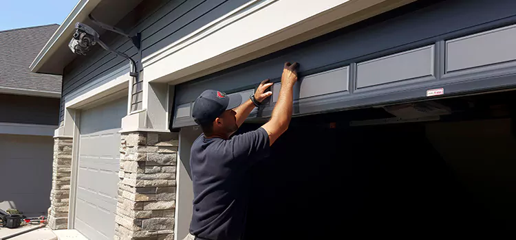 Janus Roll Up Doors Lemon Grove