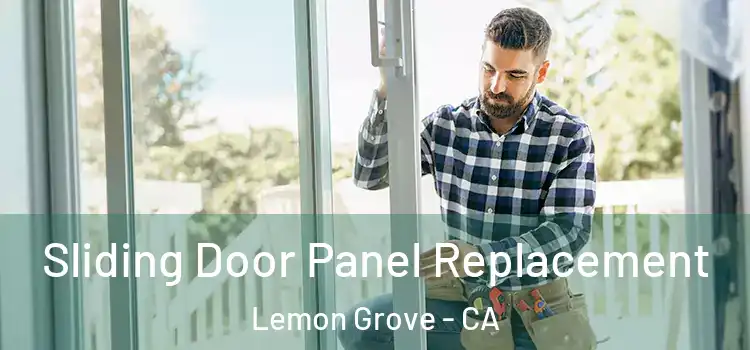  Sliding Door Panel Replacement Lemon Grove - CA